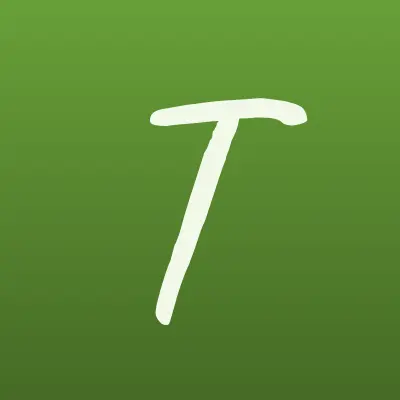 Топ Сервис, сервисный центр, лого-визитка